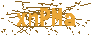 Captcha Image for Verification