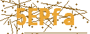 Captcha Image for Verification