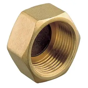 Hexagon Cap Nuts