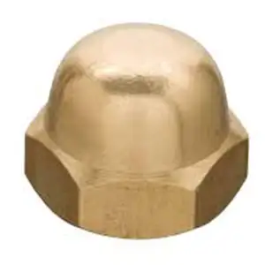 Hexagon Dome Nuts (Acron Nuts)