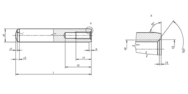 Parallel Pins With Internal Thread Drawing