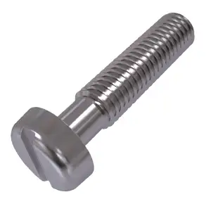 Slotted Cheese Head Screws